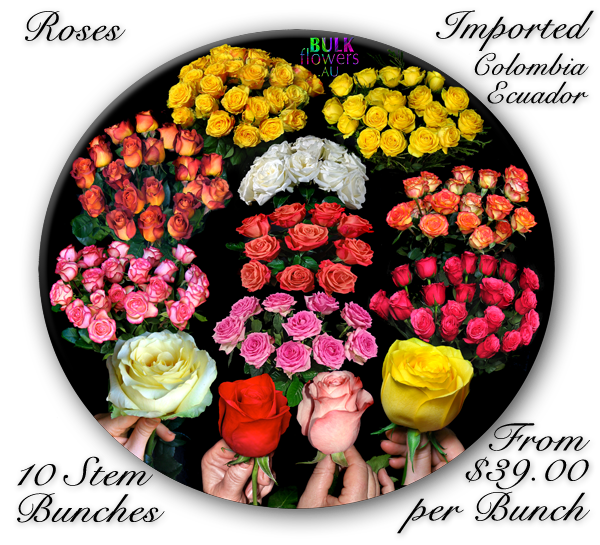 COLOMBIAN ROSES